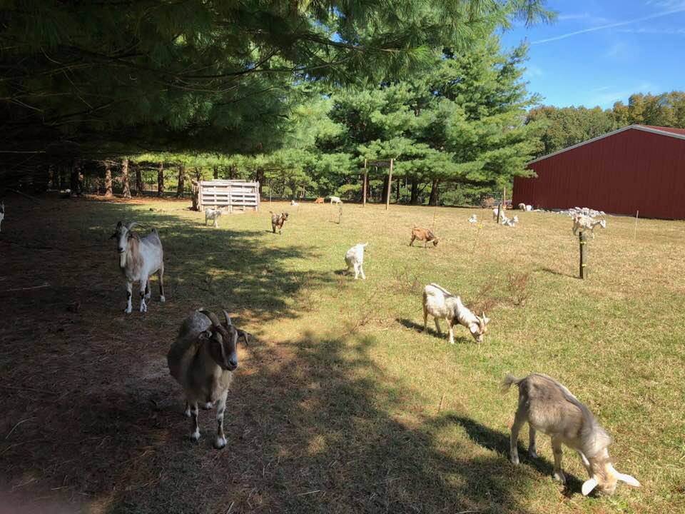 Drum-O-Farm